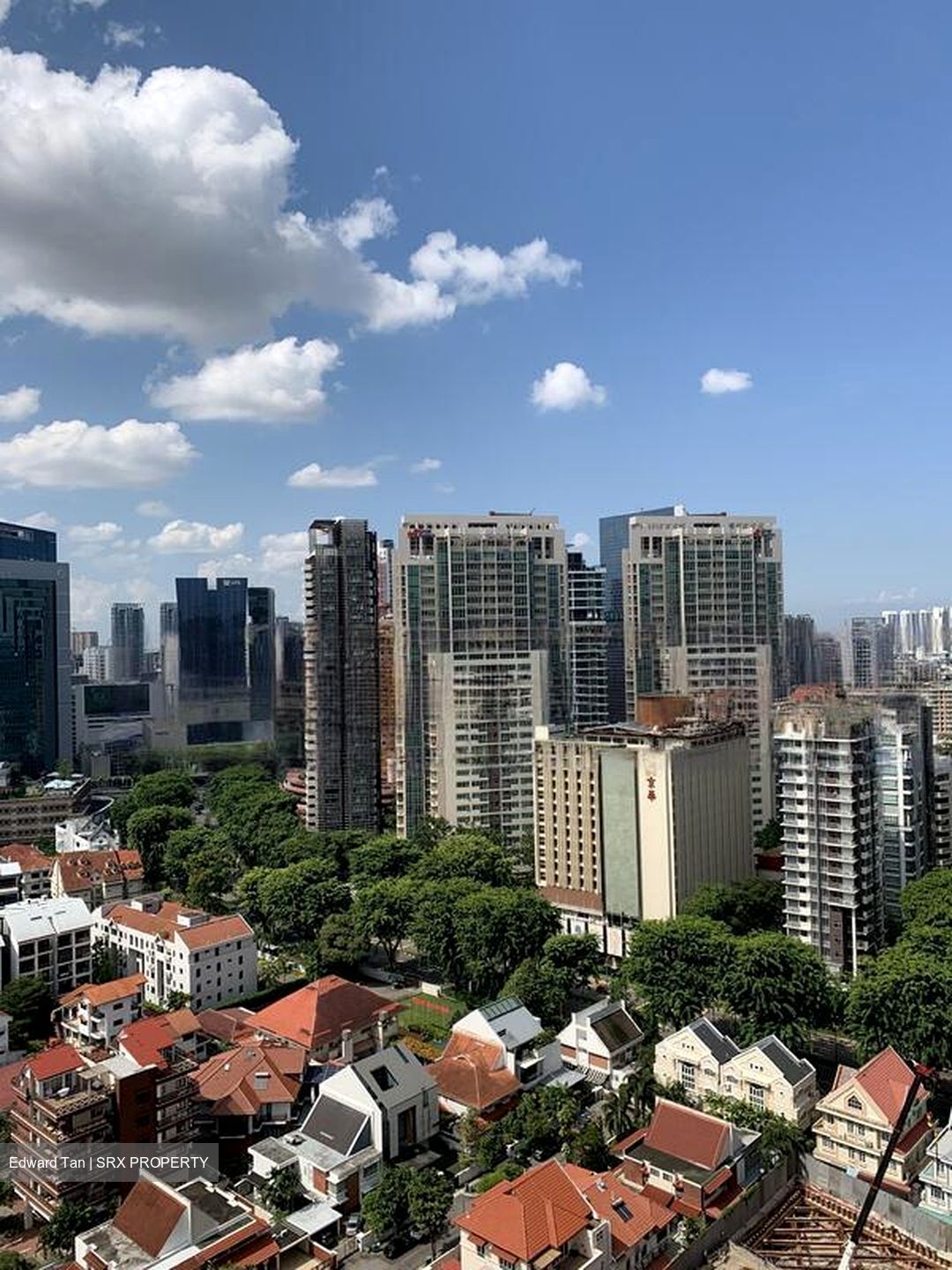 Residences @ Evelyn (D11), Condominium #638601481